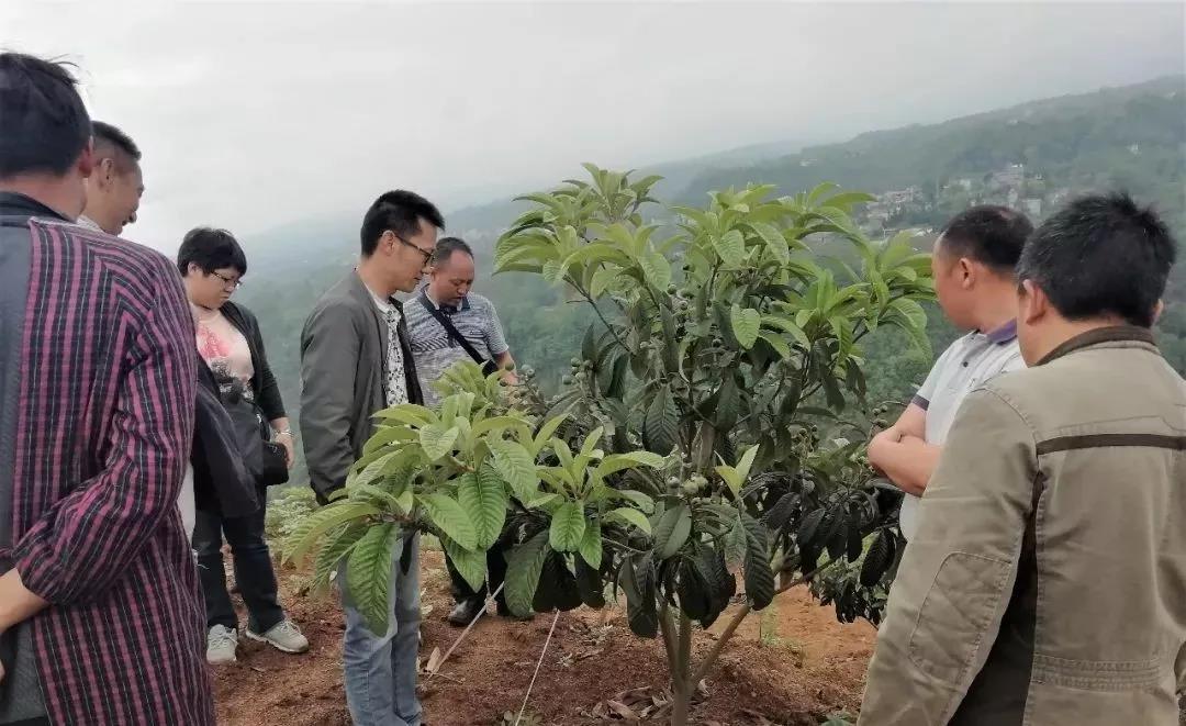 扶贫12.jpg 扶贫12.jpg