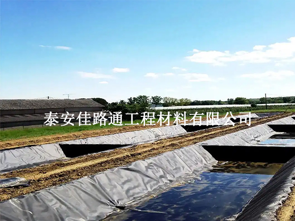 鱼塘防渗土工膜:鱼儿成长的双刃剑? 鱼塘防渗土工膜:鱼儿成长的双刃剑?